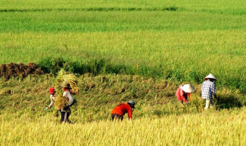 Bình Thuận: Chăm lo toàn diện cho đồng bào dân tộc thiểu số