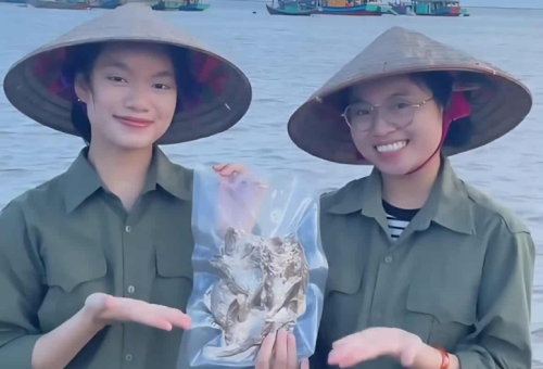 image 20251210094028 1