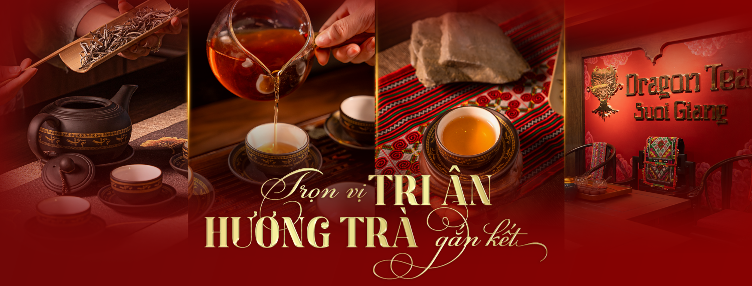 Dragon Tea Suối Giàng