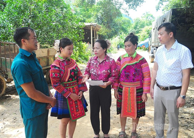 15 7 kienthiet dssc