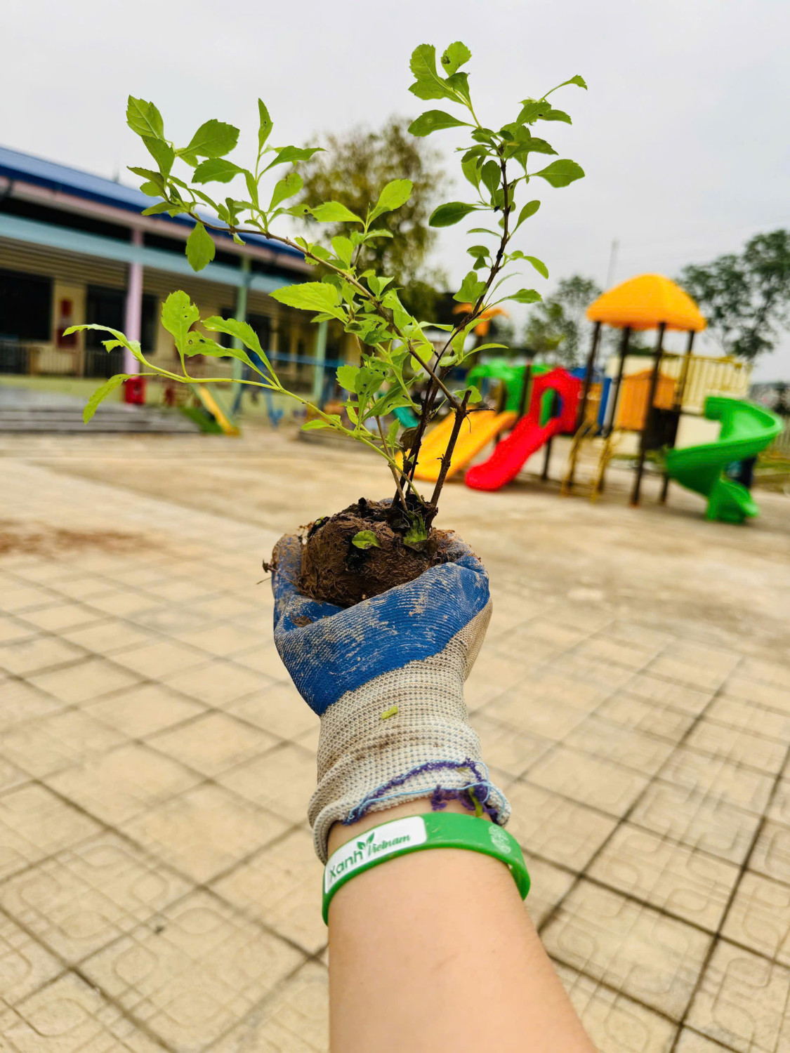 z7744160845045 8303340edddff13dd92a45d11bd86497