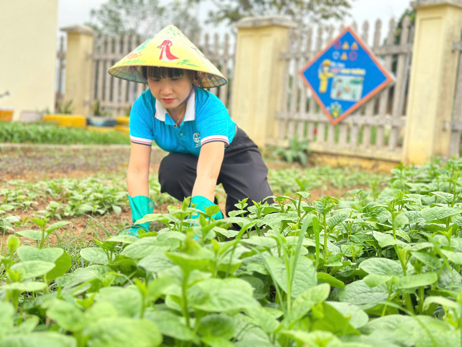 z7744160855192 03fbc903cb31246ac382083eb588257b