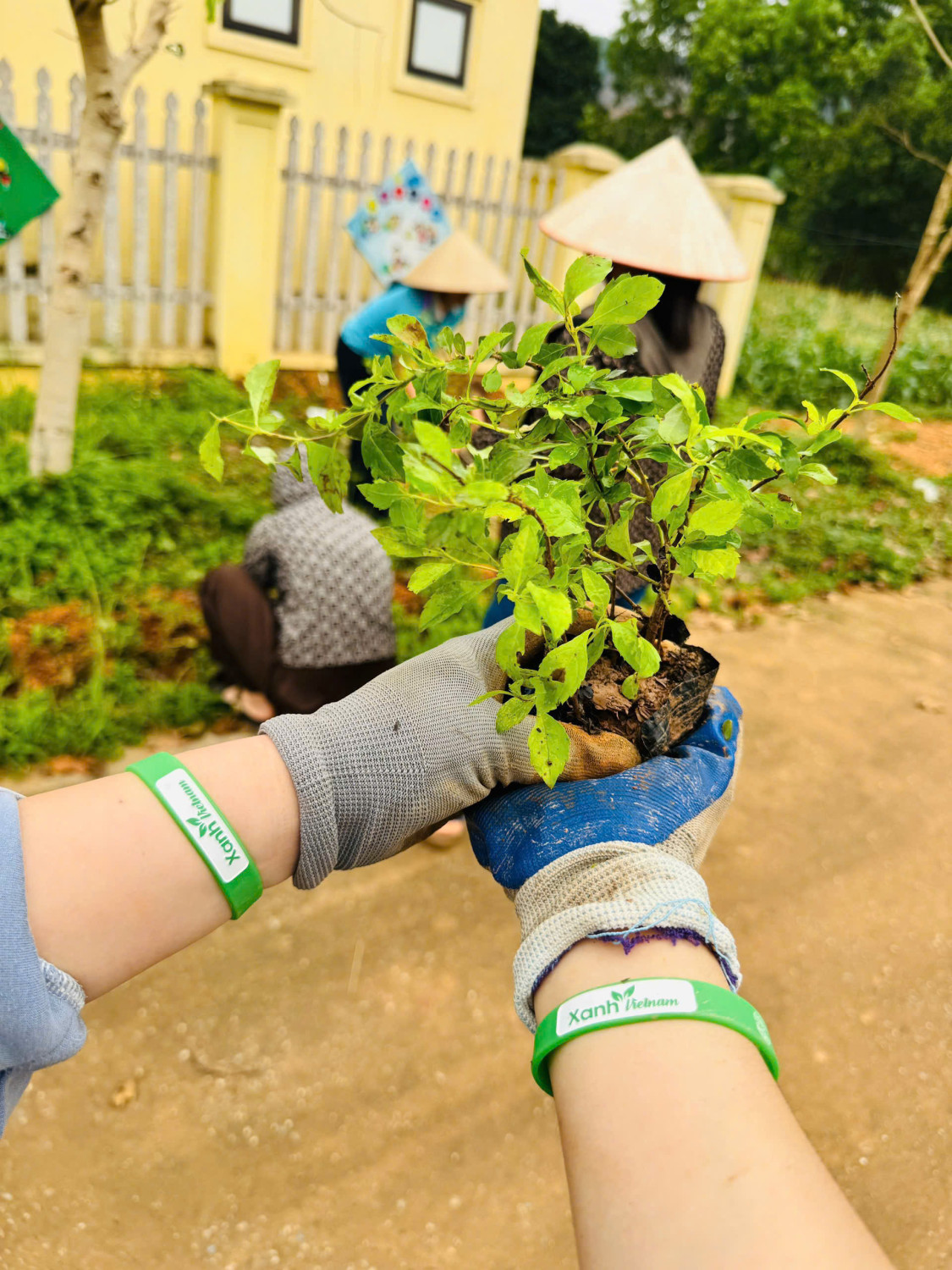 z7744160919008 c21e0309e98f8ef90d2829f5425aa86c